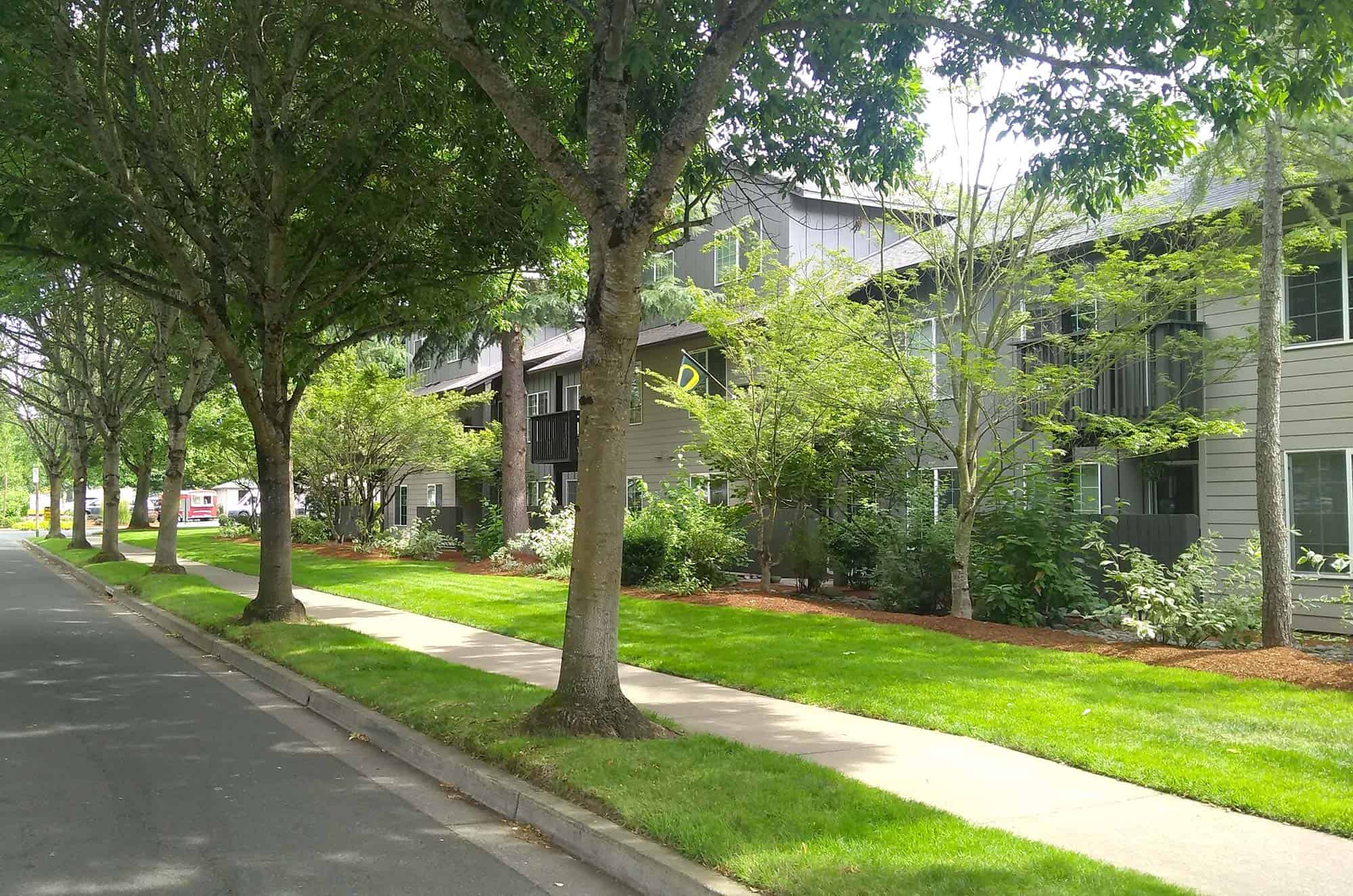 Landscaping Eugene Oregon Landscaping Eugene OR